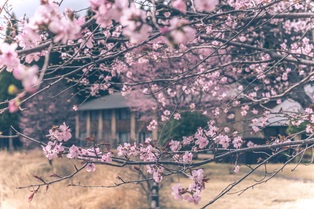 Kaze no Hibiki Hotel Nikko Eksteriør billede